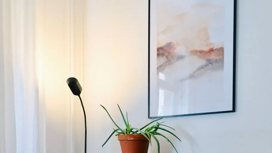 Aloe-Pflanze auf Tisch, Lampe, abstraktes Gemälde an Wand.