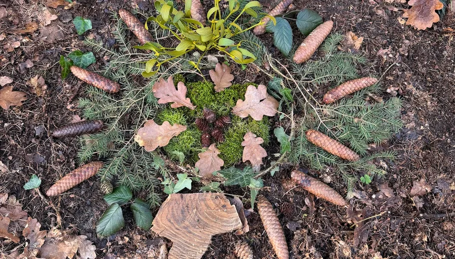 Pinecones, leaves arranged on forest ground.