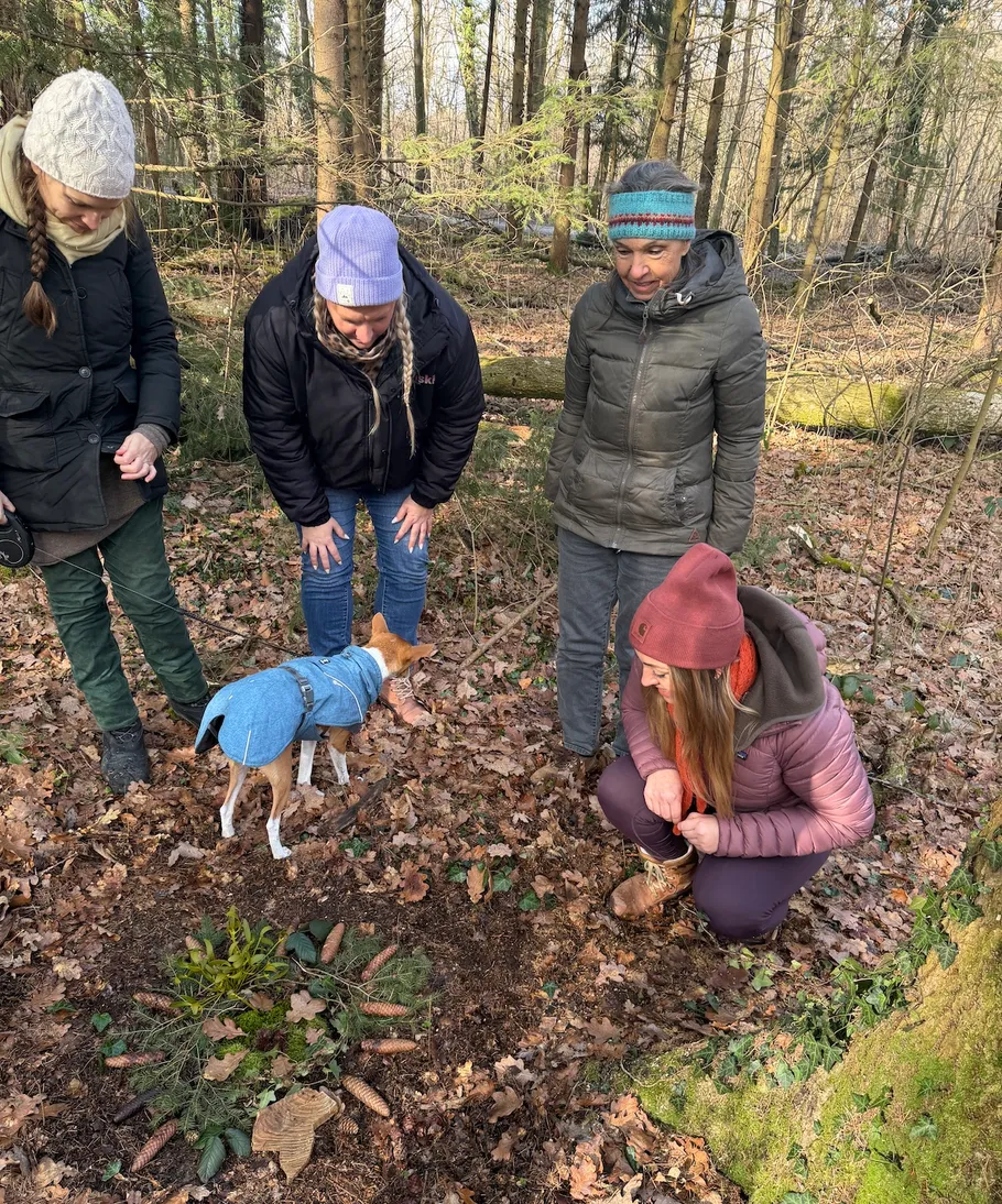 Four people and a dog in a forest.