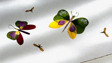 Bunte Blattschmetterlinge auf weißem Hintergrund.