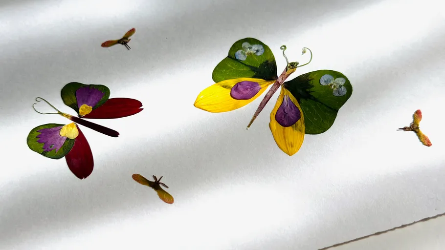 Colorful leaf butterflies on white background.