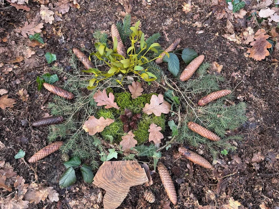 Nature arrangement with pinecones, leaves, and moss.