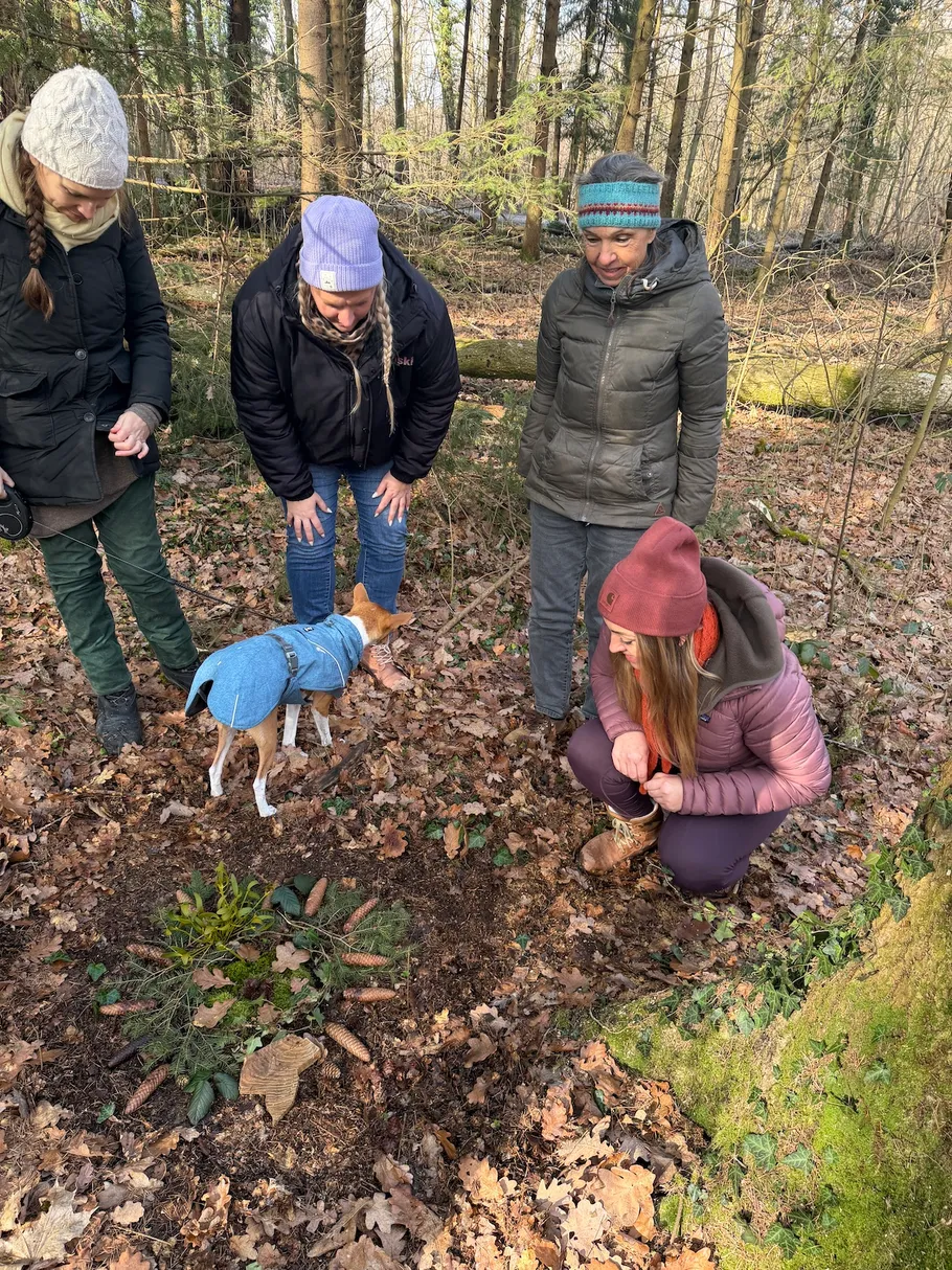 Vier Personen und ein Hund erkunden Waldboden.