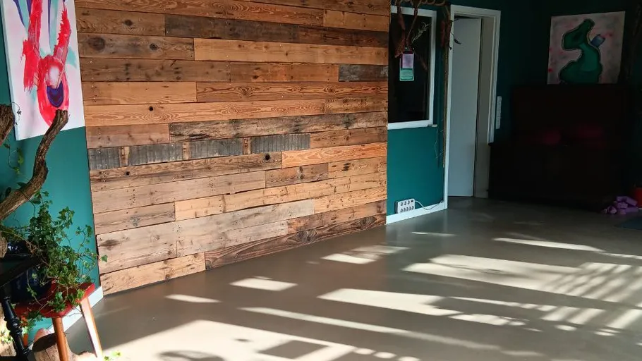 Wood accent wall in a sunlit room.