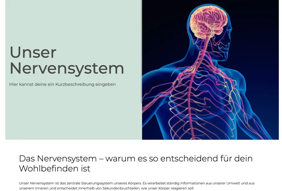 Nervous system diagram and description text.