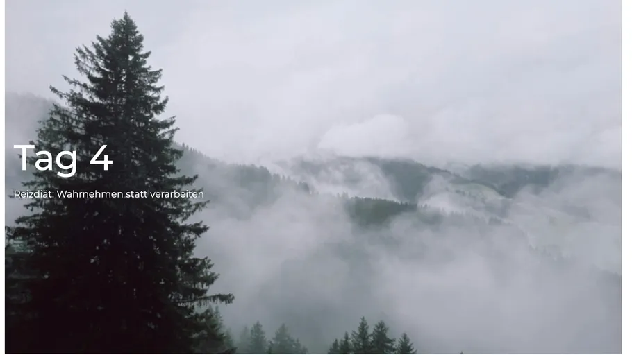 Misty forest with cloudy mountains.