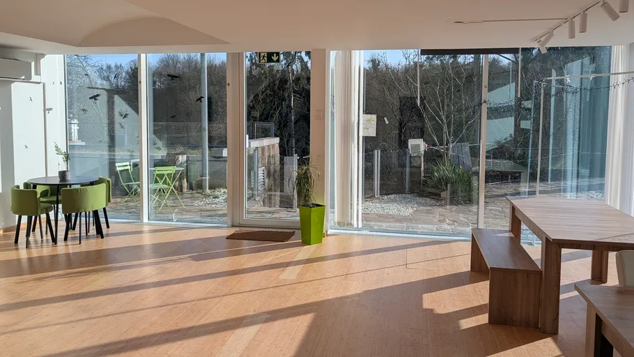 Modern sunlit room with green chairs, large windows.