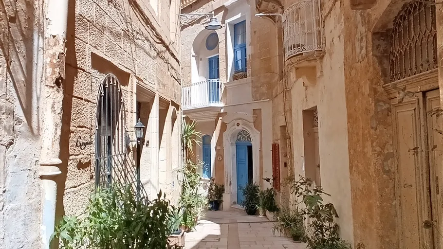 Narrow alley with rustic buildings, door plants.