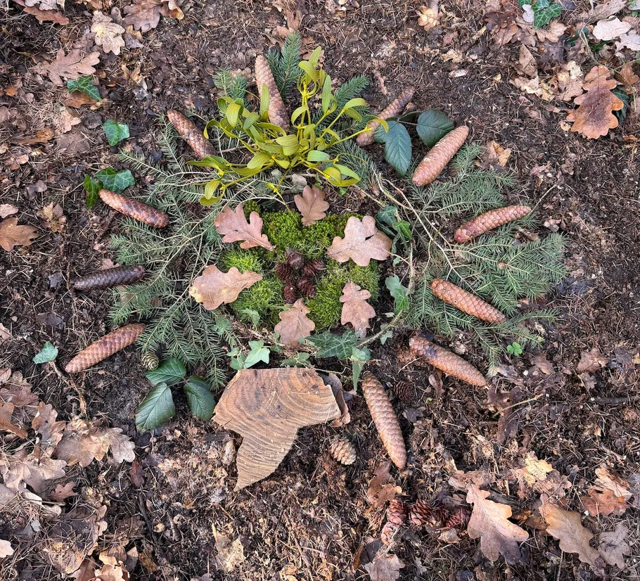 Natural mandala with leaves and pinecones on ground.