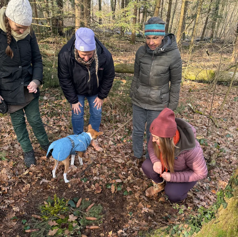 Vier Personen mit Hund in Waldlichtung.
