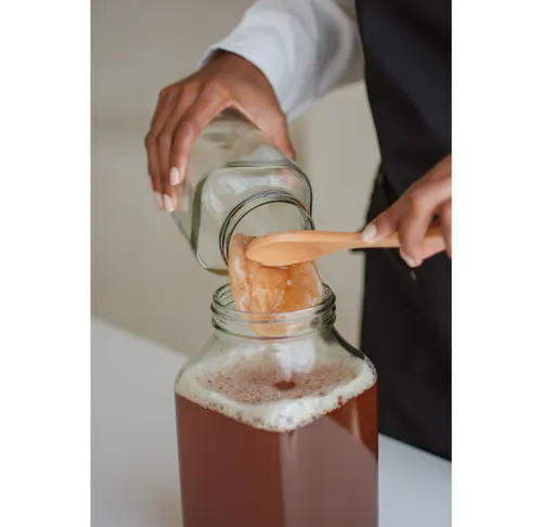 Person überträgt Kombucha-SCOBY in Glasgefäß.