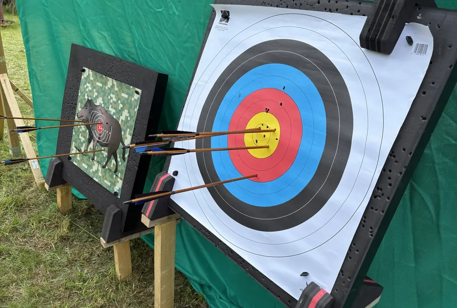 Bogenschießziele mit Pfeilen in Grasfläche.