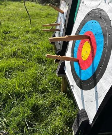 Zielscheibe mit Pfeilen auf Wiese.