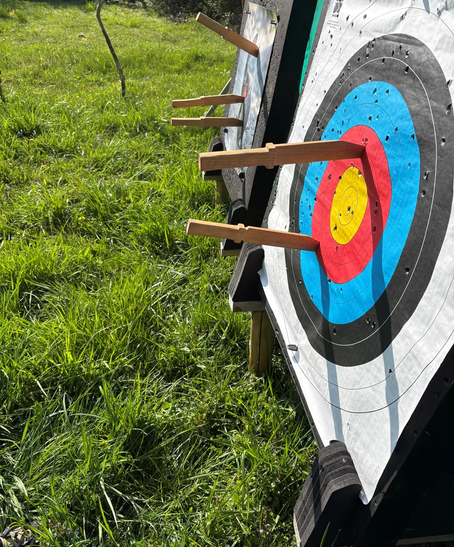 Target with arrows on grassy field.