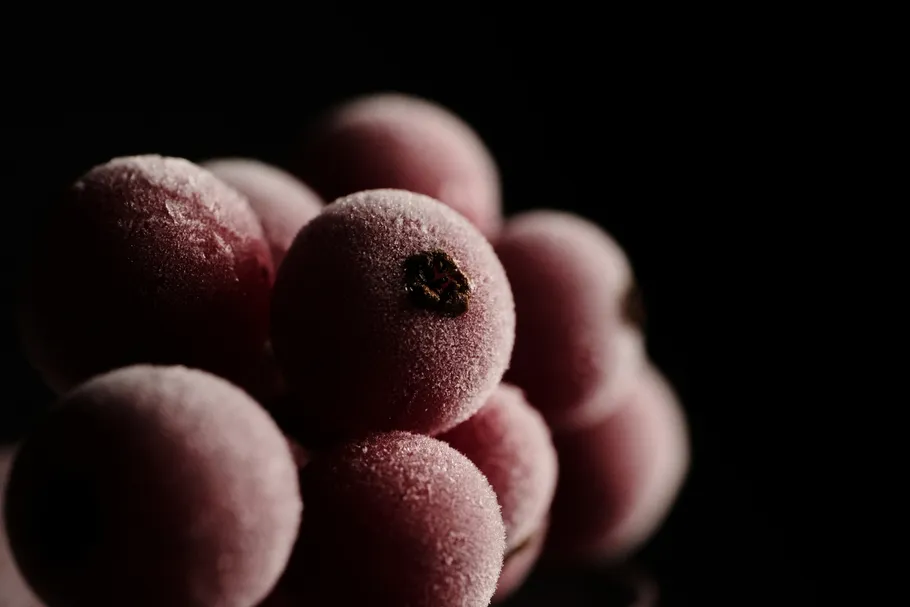 Close-up of frozen grapes in darkness.