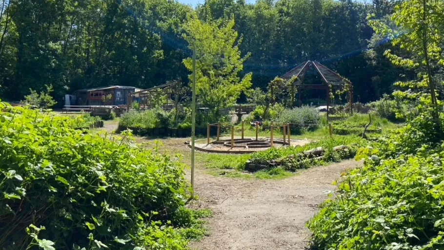 Ruhiger Garten mit Pavillon und Grün.