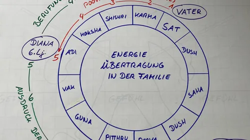 Diagram showing energy transfer in the family.