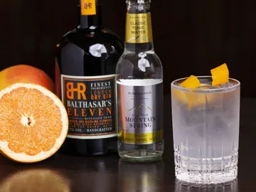 Gin, Tonic, Orange und Glas mit Eis auf Tisch.