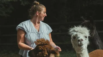 Woman smiling with alpacas in a wooded area.