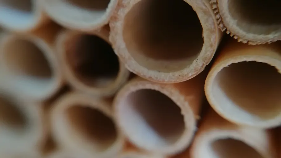 Close-up of stacked bamboo tubes.