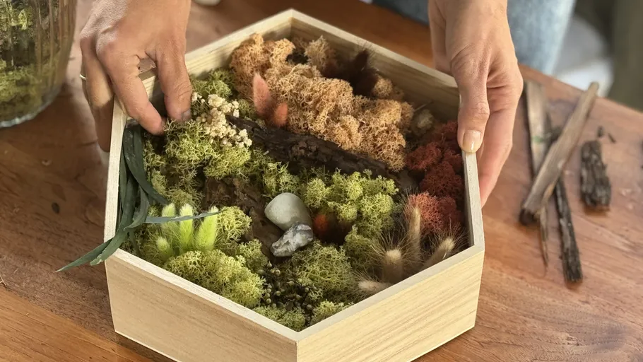 Hands arranging decorative moss in wooden box.