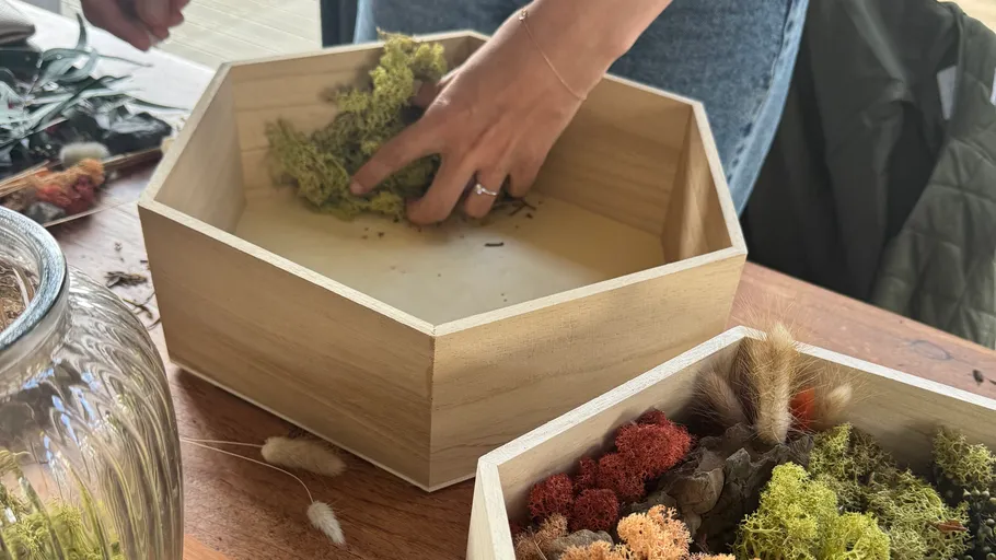 Person arranging moss in a wooden box.