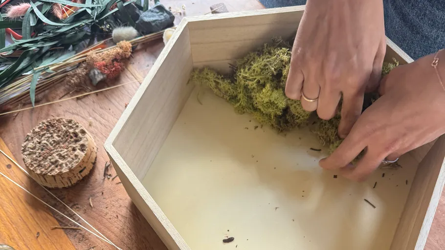 Hände arrangieren Moos in Holzkiste.