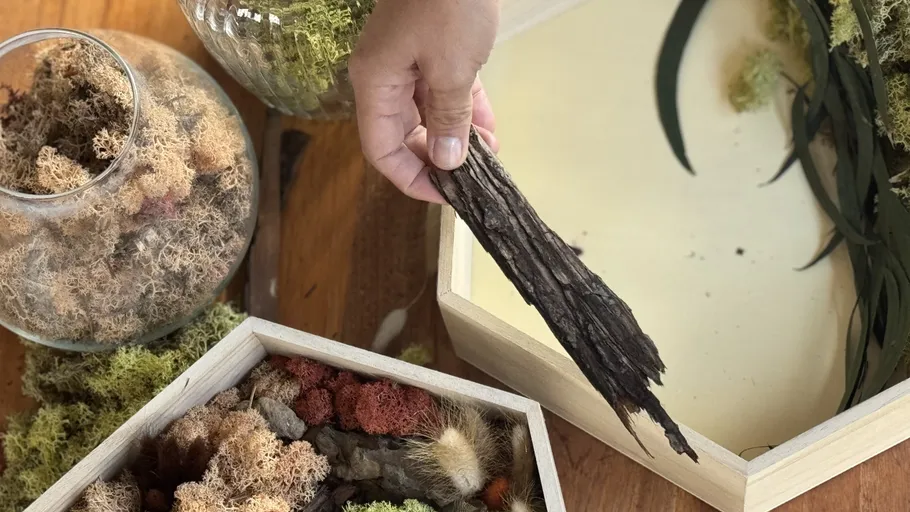 Hand placing bark in wooden box with moss.