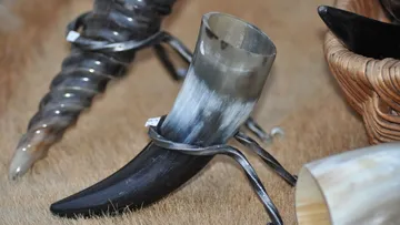Drinking horn displayed in metal stand.
