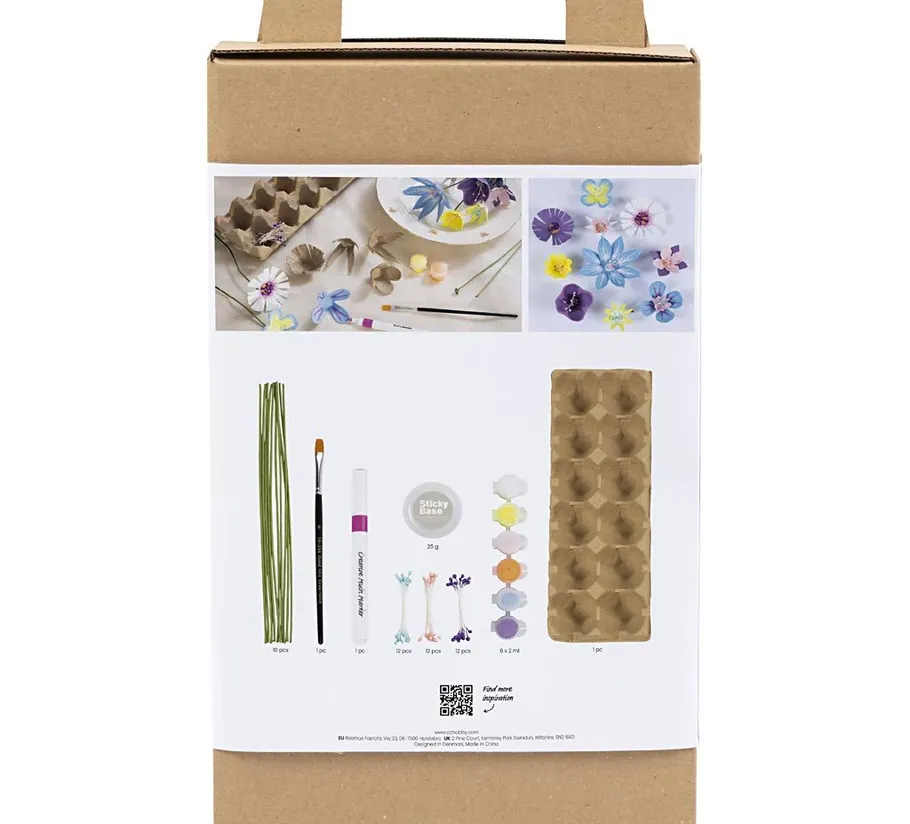 Craft kit with materials and photos on box.