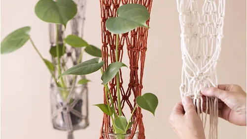Macramé Plant Hanger – Beginner Kit for Home