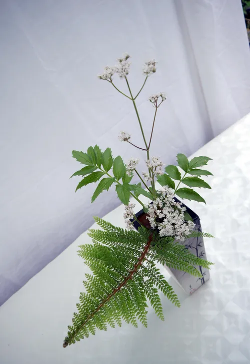 Blumenarrangement mit grünen Blättern auf Tisch.