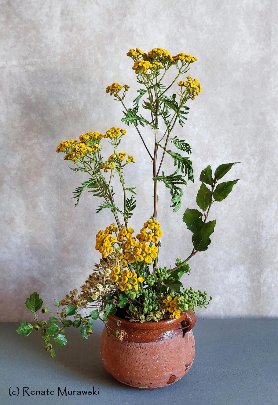 Yellow flowers in a ceramic pot on table.