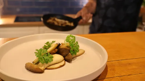 Gourmetpilze mit Kräutern auf Tisch angerichtet.