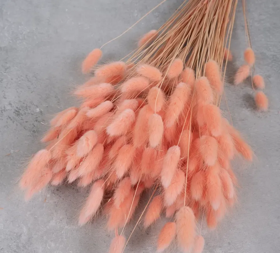 Peach-colored dried flowers on gray surface.