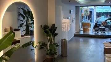 Modern cafe interior with large plants and window seating.