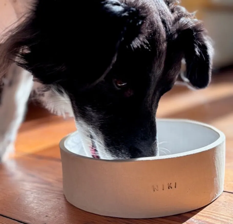Dog drinking from a personalized bowl indoors.