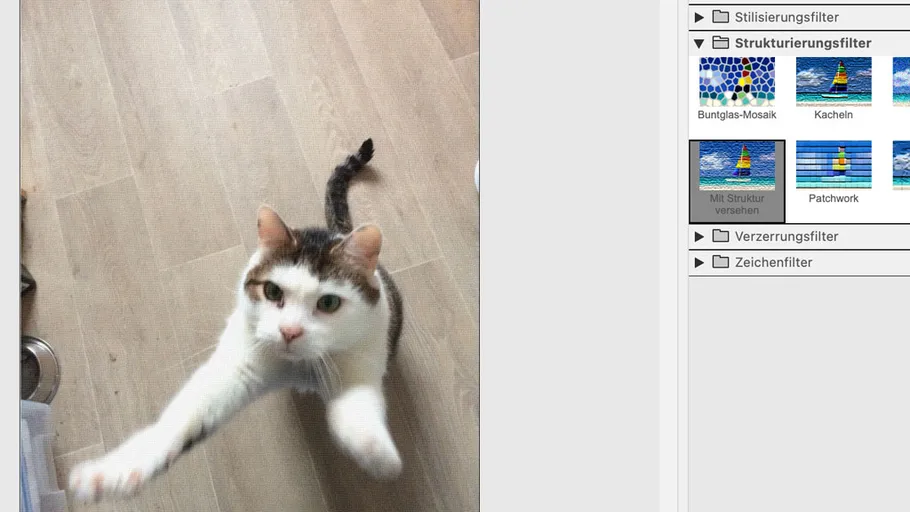 Cat jumping on wooden floor, graphic filter menu.