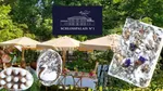 Schlosspalais N°1 logo