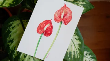Painted Anthuriums resting on plant leaves.