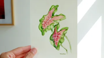 Hand hält Aquarellmalerei von Blättern.