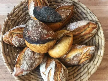 A basket with various freshly baked rolls.