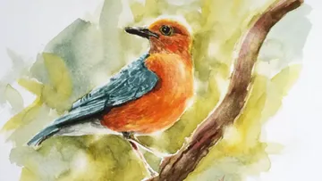 Illustrated bird perched on a branch, green background.