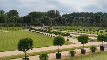 Sauber getrimmte Topfbäume in einem formellen Garten.