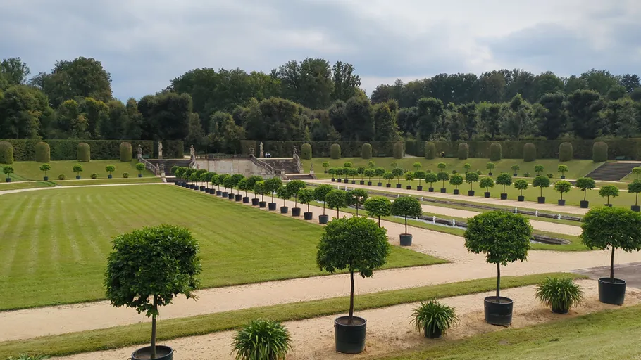 Sauber getrimmte Topfbäume in einem formellen Garten.