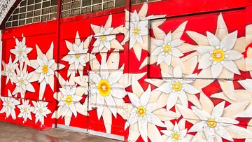 Graffiti of edelweiss flowers on red wall.