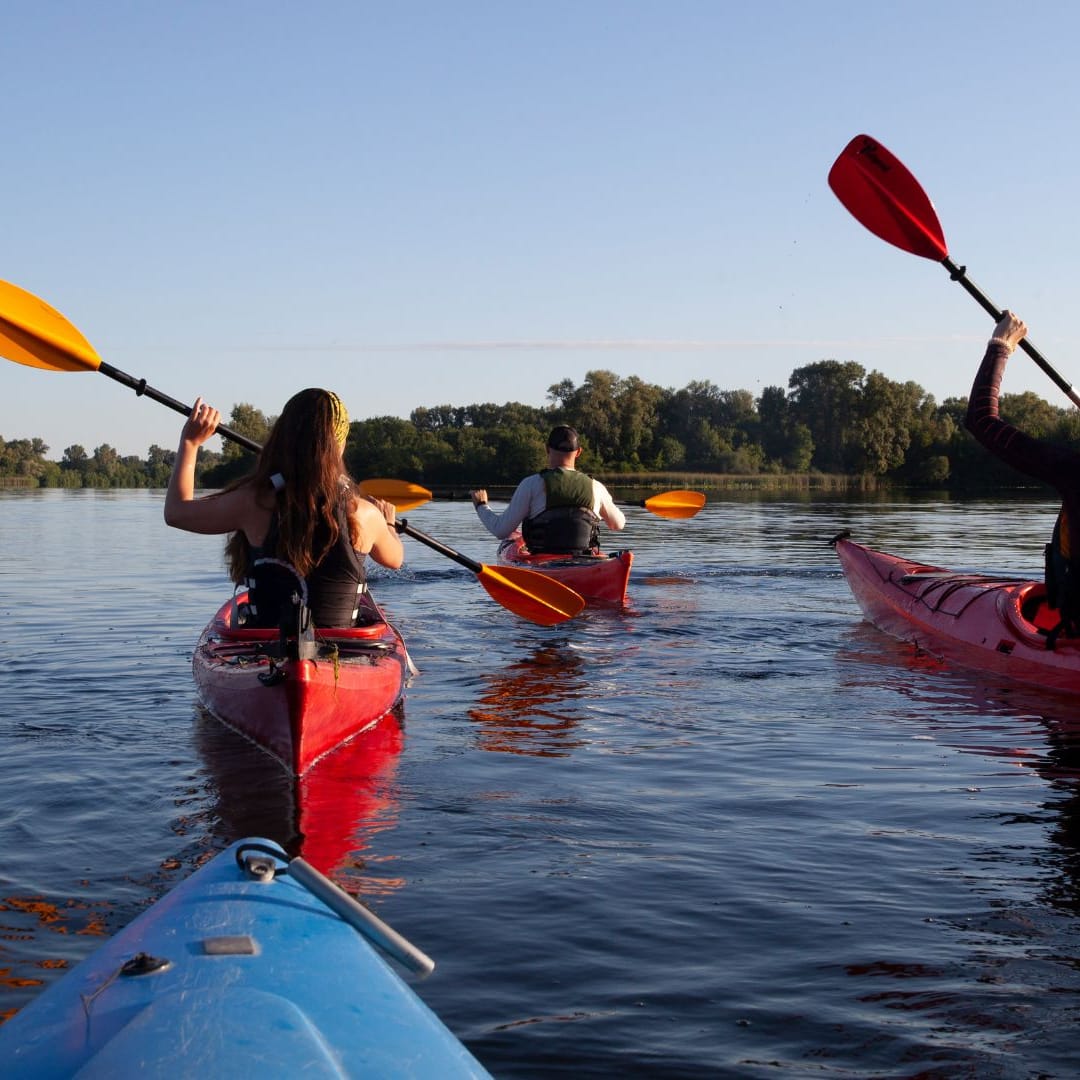 Kanufahren auf der Donau: Paddeltour ab Vohburg