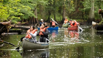 People canoeing on a forested river.