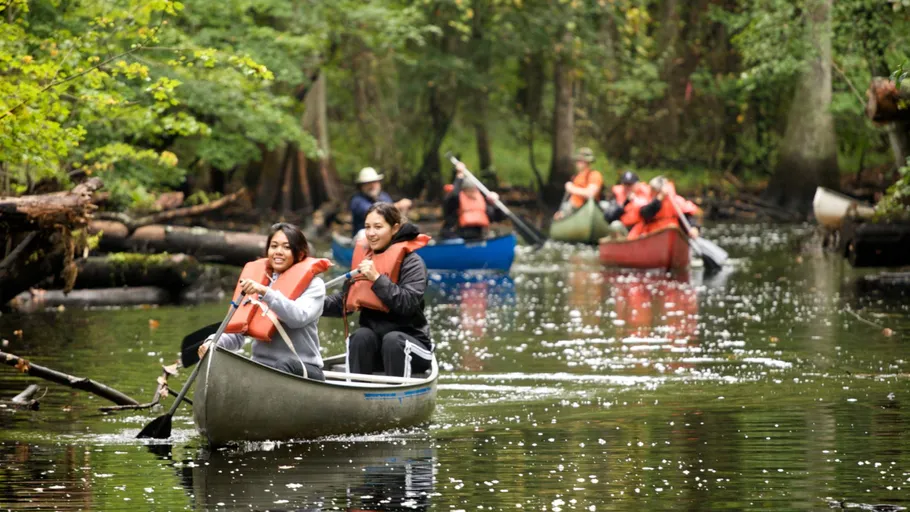 People canoeing on a forested river.