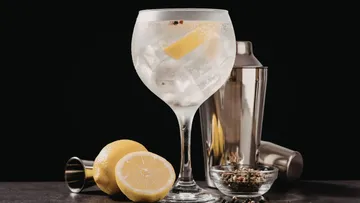 Gin und Tonic Glas mit Zitrone, Shaker daneben.